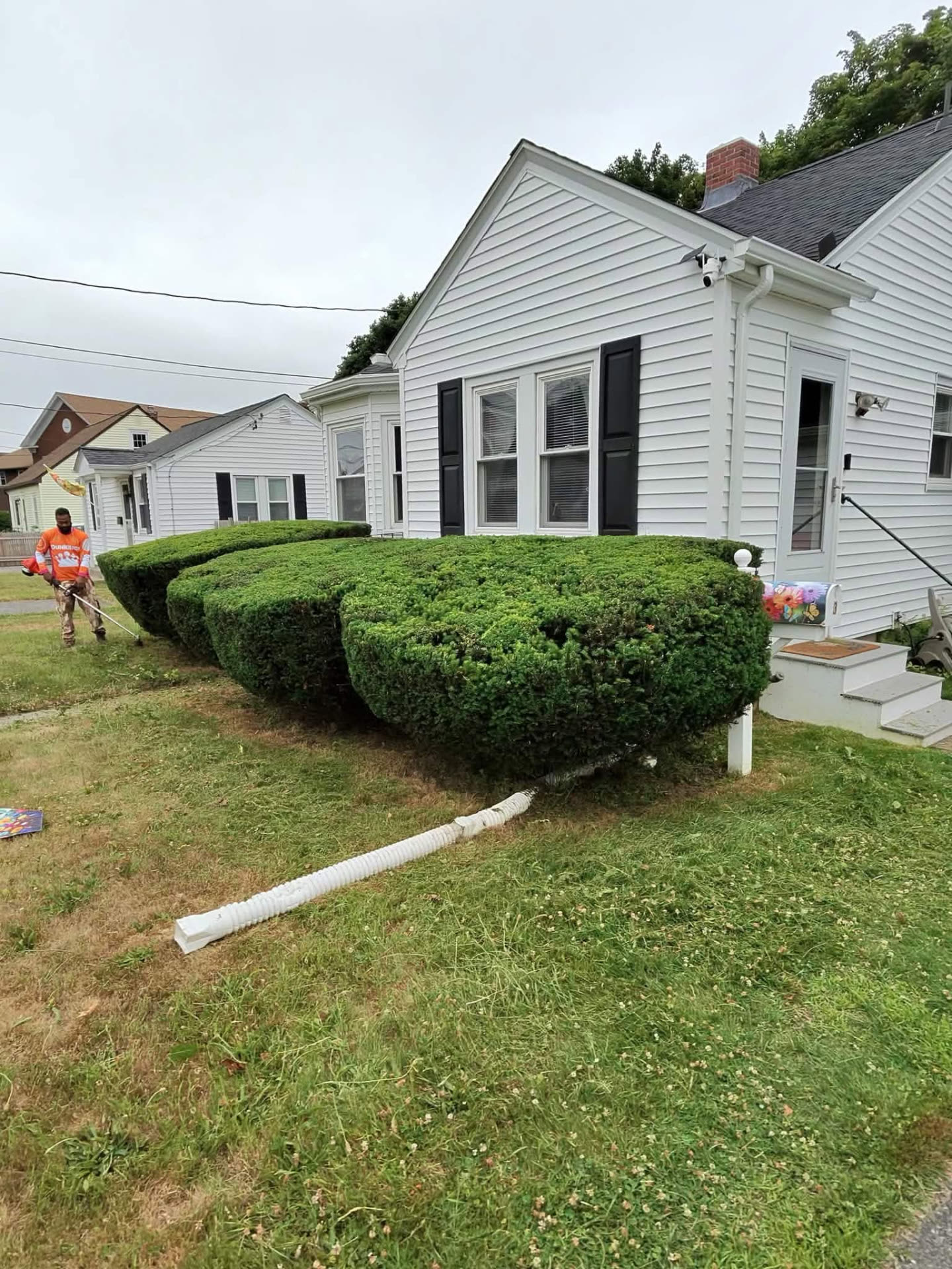 Finished lawn maintained by Ruano's Landscaping