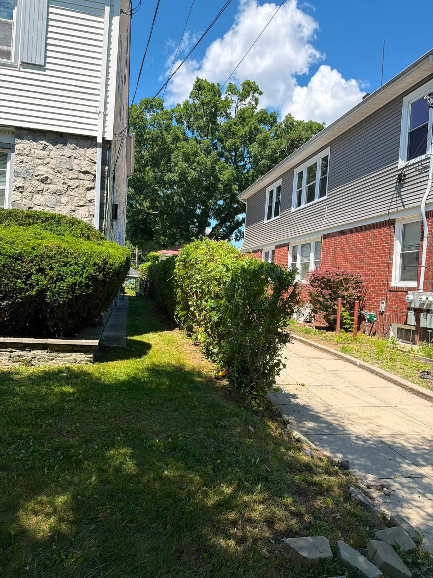 Side Yard Overgrowth Cleanup — landscaping project in Providence, RI